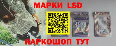 крисы Кунгур