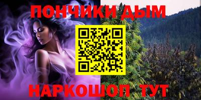 крисы Кунгур