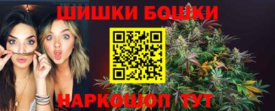 крисы Кунгур