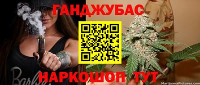крисы Кунгур