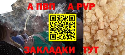 крисы Кунгур