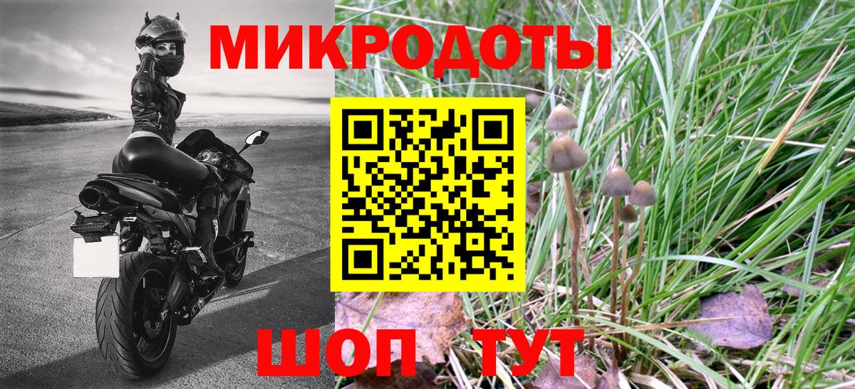 Галлюциногенные грибы мухоморы Удомля