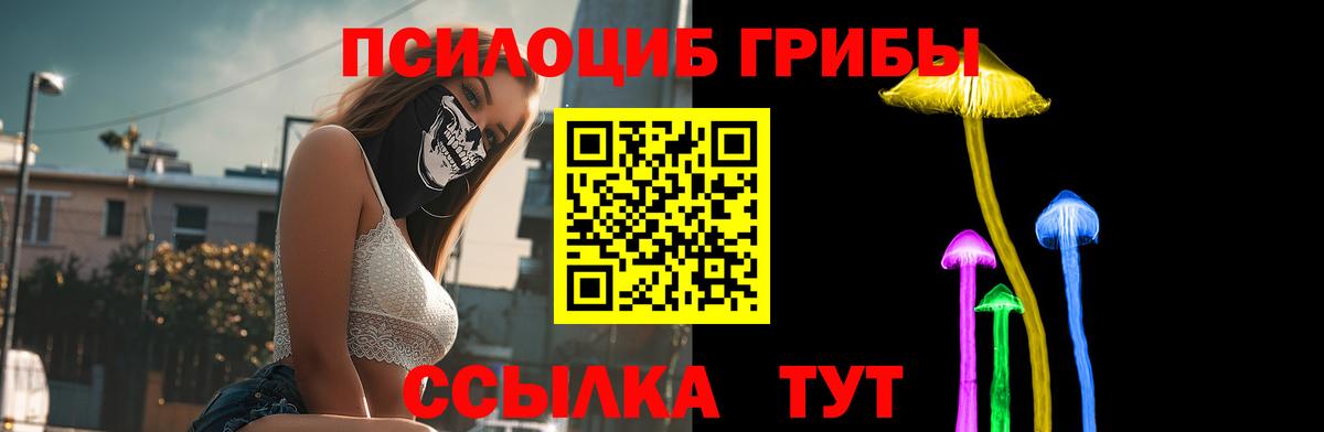 Удомля  Псилоцибиновые грибы мицелий  Вход с VPN  Галлюциногенные грибы Magic Shrooms 